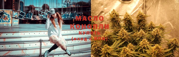 индика Тутаев