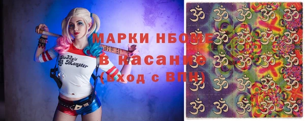 индика Тутаев