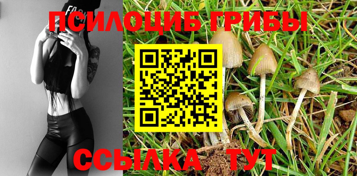 Галлюциногенные грибы мухоморы Мариинск