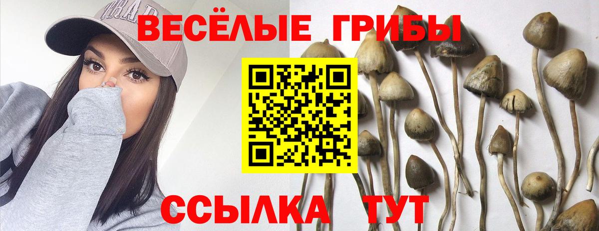 COCAIN  МДМА  Каннабис  Купить закладку  Мефедрон кристаллы  Мариинск  Вход с VPN 